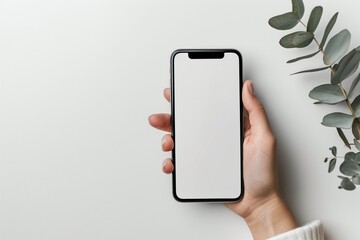 Person Holding Smartphone With Blank Screen and Eucalyptus Branch