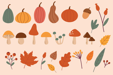 Hand drawn vector set autumn elements. Fall leaves, mushrooms, maple, acorns, berries, oak, pumpkins. Harvest time. Colored trendy illustration. Autumn floral stickers. EPS10