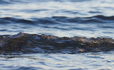 Sea wave closeup. Ocean wave. Water background. 
