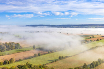 Rural landscape view with tree lined fields and fog