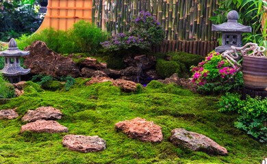 Minimal Japanese garden in home with small stone lantern and bamboo fountain and moss and flowers.

