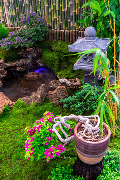 Minimal Japanese garden in home with small stone lantern and bamboo fountain and moss and flowers.

