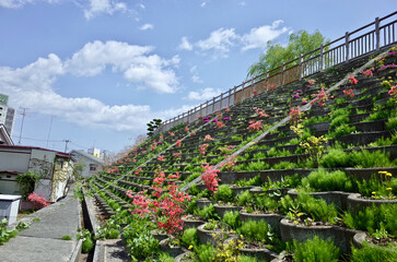 三八城公園