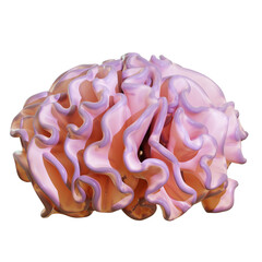 A brain coral with a gradient of pink and purple hues. 3D cute cartoon perfect for underwater animations, educational exhibits, marine biology visualizations, oceanic simulation.