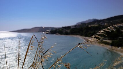 Blades of grass moving in slow motion in the wind in front of the sea in summer