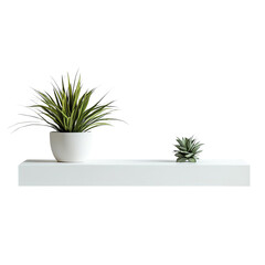 A modern shelf with decorative plants, showcasing minimalism and elegance in home decor. Perfect for enhancing any space.