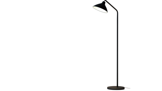 A sleek black floor lamp standing tall with a modern design, perfect for illuminating any contemporary living space.