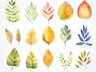 Fototapeta premium Watercolor leaf clipart