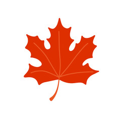 Autumn red maple leaf. Flat vector illustration or icon isolated on white background.