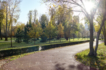 Walkway surrounded by trees and lawns in Kyiv, Europe. Recreation place in the autumn city park