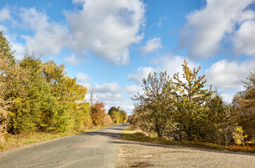 Asphalt country road near trees. A bend road at rural Europe