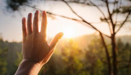 Hand reaching towards sunset in a serene natural landscape with trees and vibrant golden light illuminating the scene