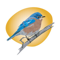 Cheerful little birds whistle in the morning