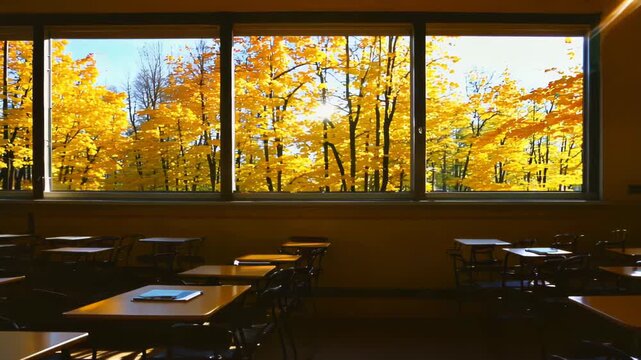 Rows of empty desks face large windows in a sunlit classroom. Vibrant yellow foliage of autumn trees visible outside, creating a warm, nostalgic atmosphere.	