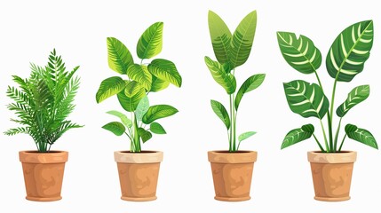 Obraz premium Set of indoor plants in pots isolated on white background. Vector illustration.