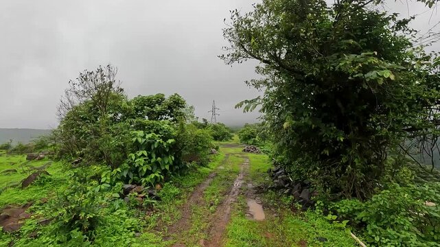 Amarja Hills, Mahagaon Rd, near Pawna Dam, Mahagaon, India 18th July 2024: Situated in Pawna, Lonavala amidst the beautiful Sahyadri mountains and overlooking the calming Pawna Lake during Monsoon