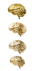 A collection of four golden brains stacked vertically, symbolizing creativity, intelligence, and innovation.