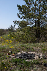 Abandoned extinct stone hearth for bonfire. Survival in wild. Protecting forest from spread of fire