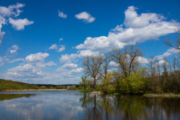 Flowers bloom in spring, blue sky and white clouds are reflected in the lake