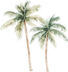 Watercolor Painting of Two Elegant Tropical Palm Trees