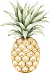 Obraz premium A Lush and Vibrant Pineapple Illustration in Subtle Watercolors
