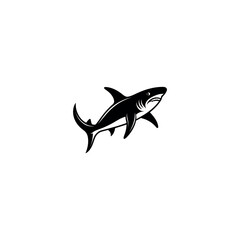 hammerhead shark