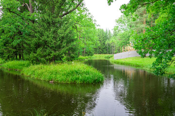 A tranquil pond nestled within a lush forest, its surface reflecting the surrounding greenery. The pond winds its way through the woods, creating a peaceful and secluded escape.