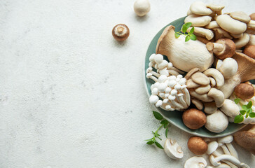 Assortment of various raw mushrooms on gray concrete background.