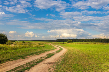 A dirt road in a field with a blue sky in the background