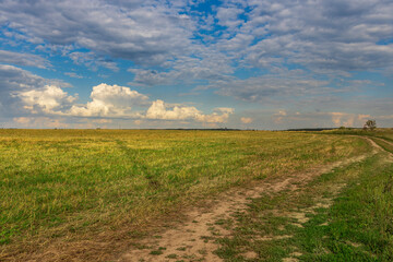 A field of grass with a dirt road in the middle