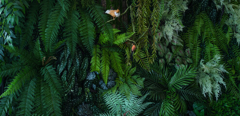 Full Frame of Green Leaves Pattern Background, Nature Lush Foliage Leaf Texture, tropical leaf.