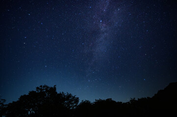 夜空の星々：木々のシルエットと満天の星
