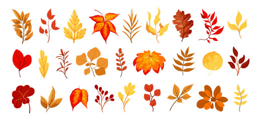 A set of autumn leaves and twigs on a white background.

