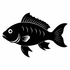 Fototapeta premium Tilapia Black silhouette