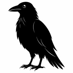 Raven Black silhouette