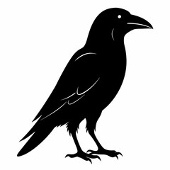 Raven Black silhouette