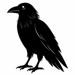 Raven Black silhouette