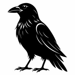 Obraz premium Raven Black silhouette
