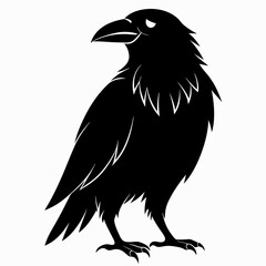 Raven Black silhouette