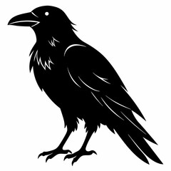 Raven Black silhouette