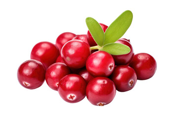Freshly Picked Cranberries Glimmering Under Bright Studio Lights Ready for Culinary Creations on Transparent PNG Background..