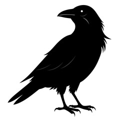 Crow Black silhouette