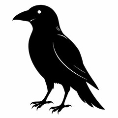 Fototapeta premium Crow Black silhouette