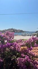 flowers on the beach
