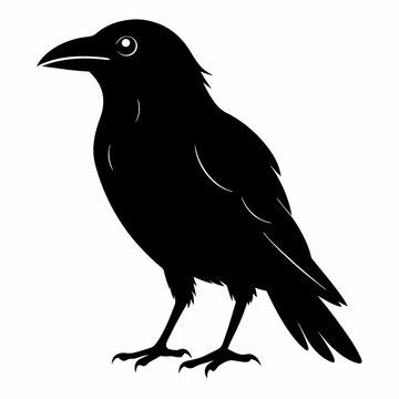 recommend clip art: Crow Black silhouette