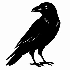 Crow Black silhouette