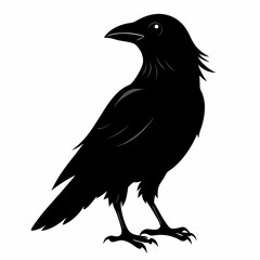 Crow Black silhouette