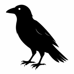 Crow Black silhouette