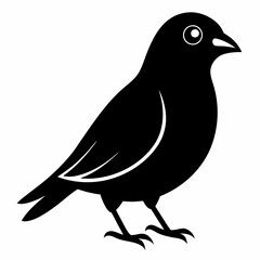 Finchesa Black silhouette