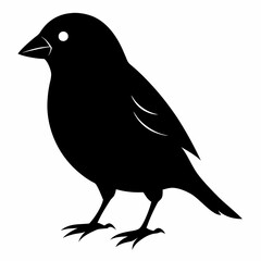 Finchesa Black silhouette